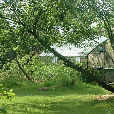 Chambres D'Hotes Le Pont Romain Montfort-le-Gesnois Eksteriør billede